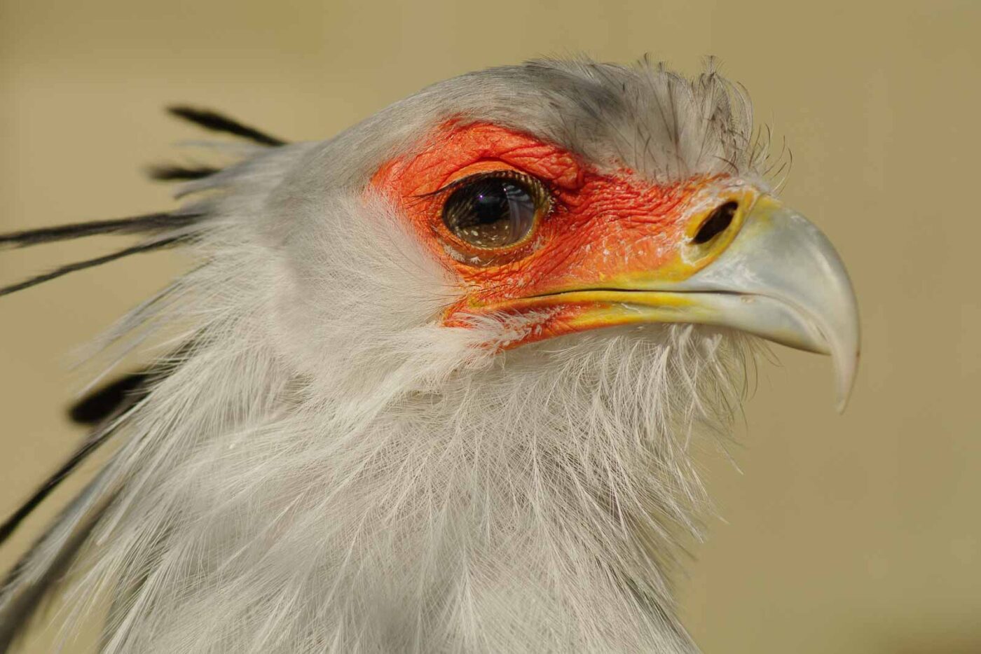 2016-03-10 - Allwetterzoo Münster