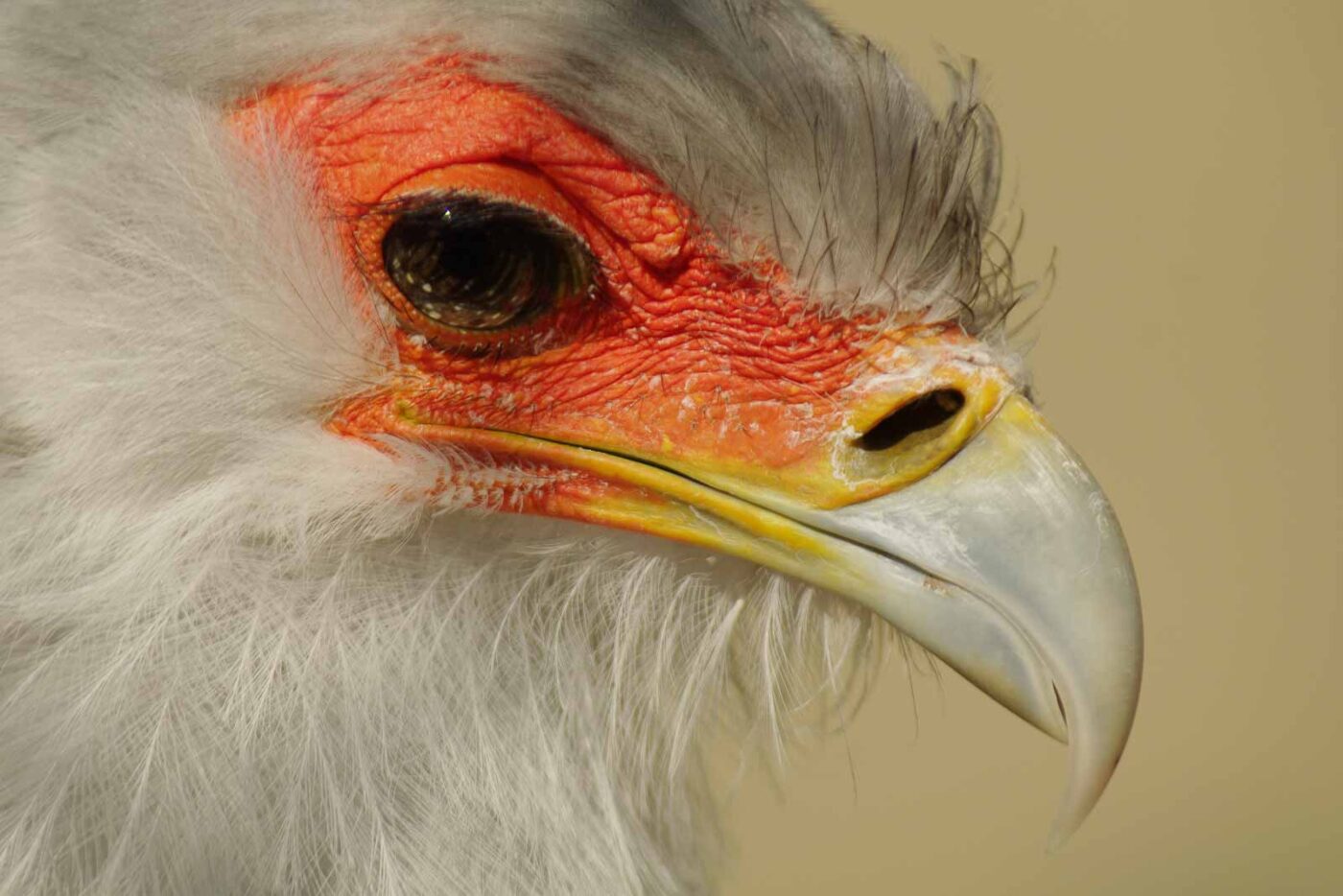 2016-03-10 - Allwetterzoo Münster