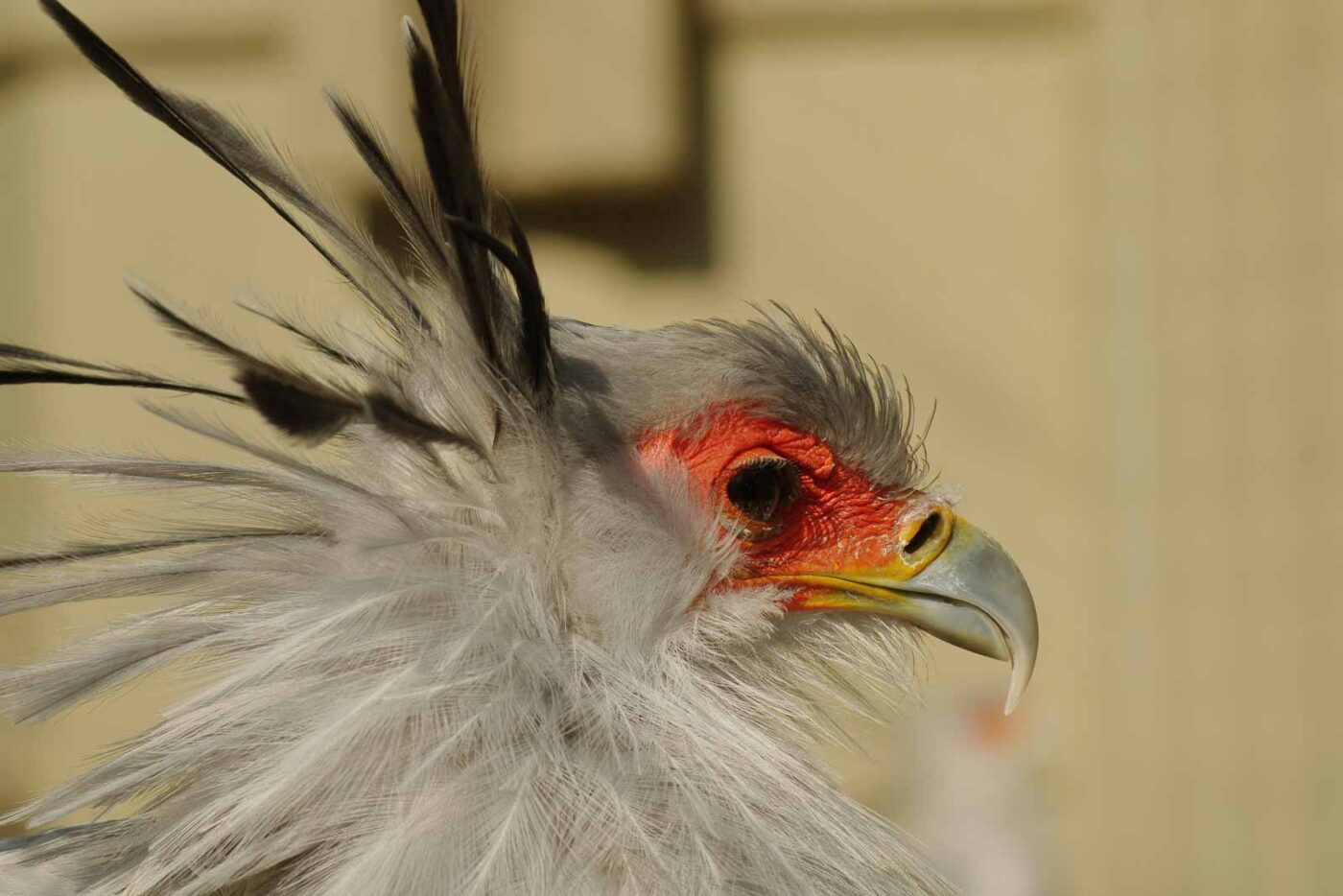 2016-03-10 - Allwetterzoo Münster