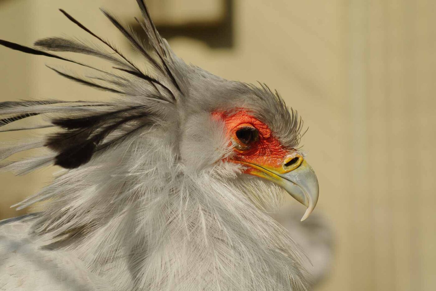 2016-03-10 - Allwetterzoo Münster