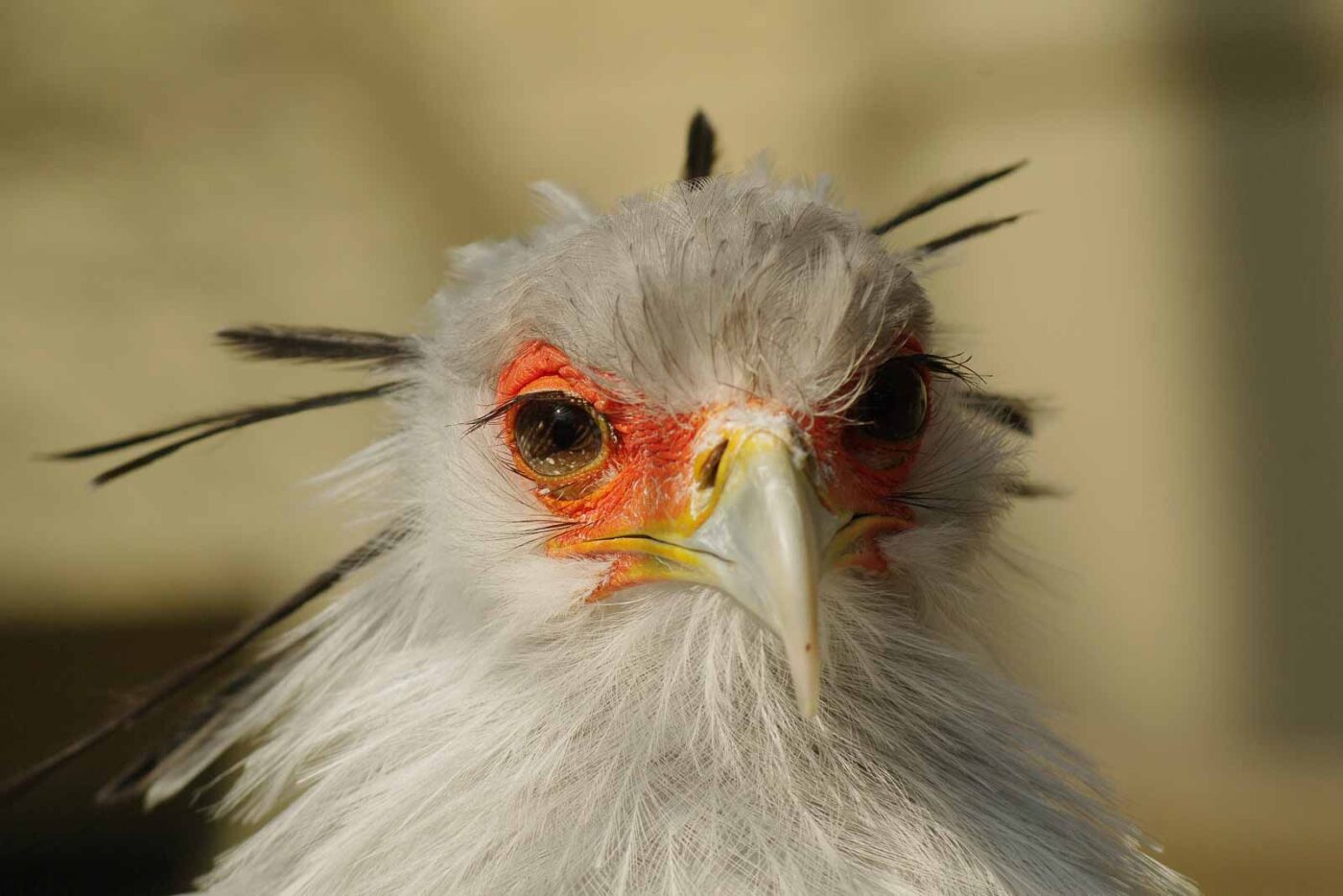 2016-03-10 - Allwetterzoo Münster