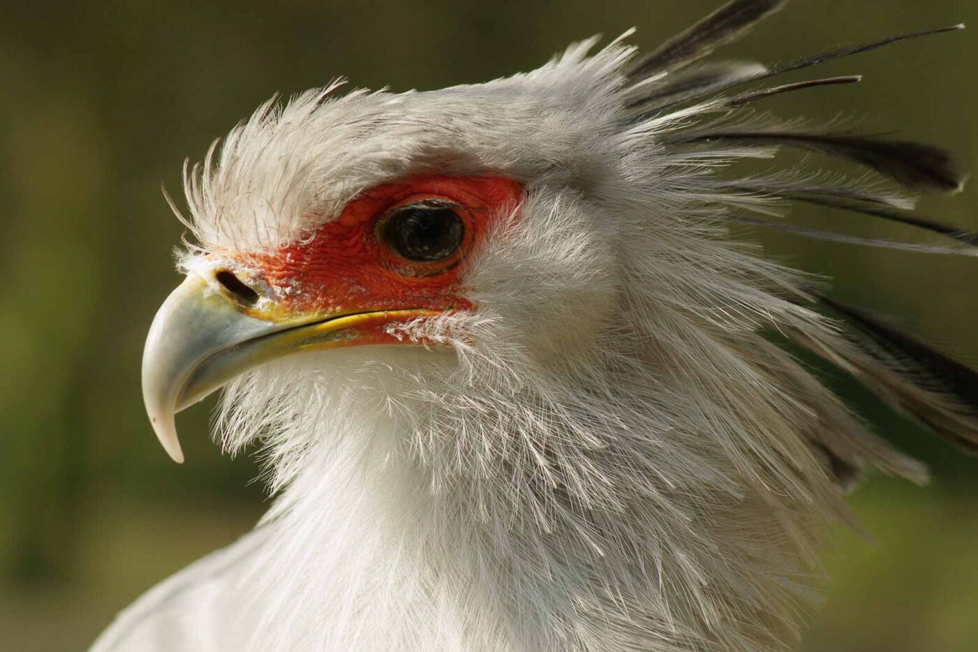 2016-03-10 - Allwetterzoo Münster