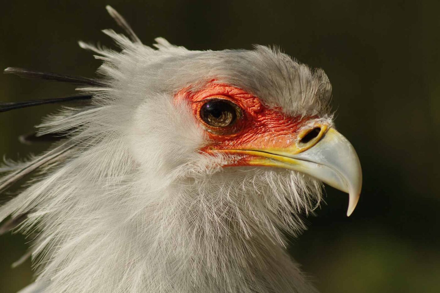 2016-03-10 - Allwetterzoo Münster