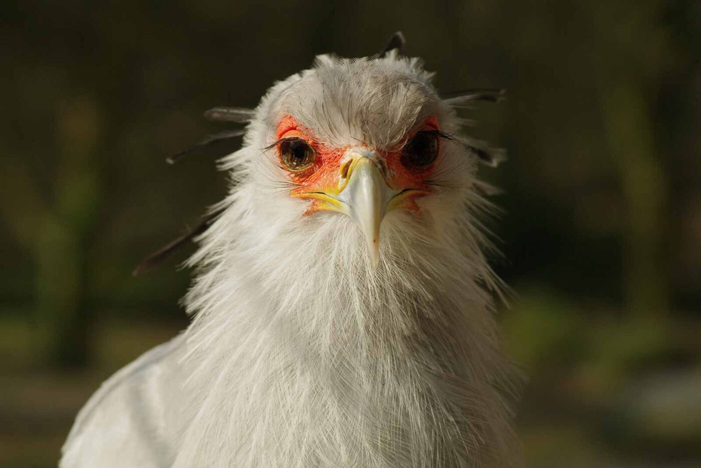2016-03-10 - Allwetterzoo Münster