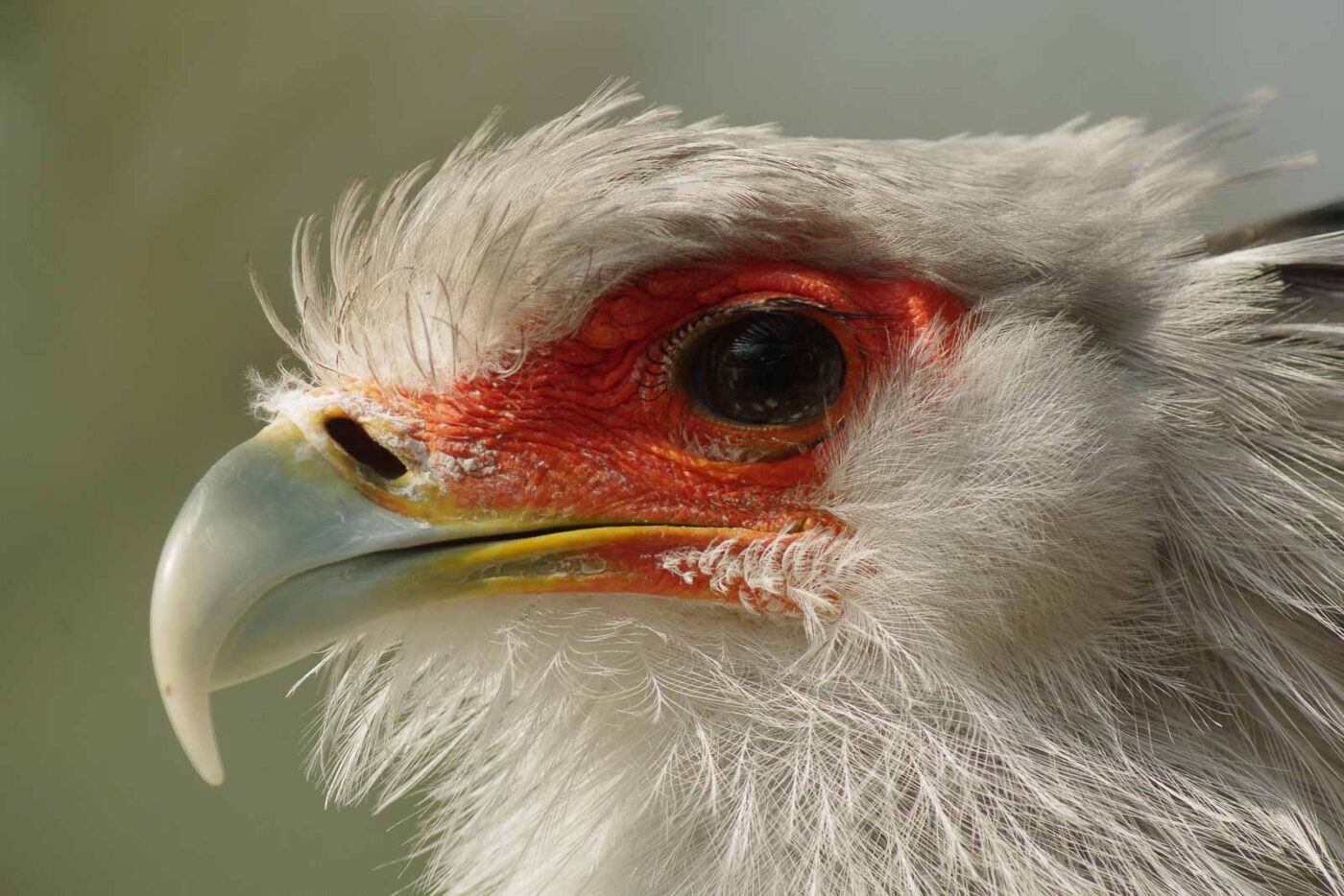 2016-03-10 - Allwetterzoo Münster