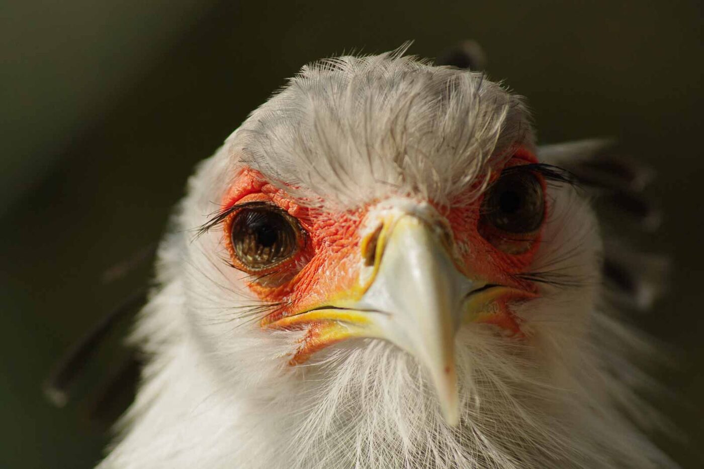 2016-03-10 - Allwetterzoo Münster