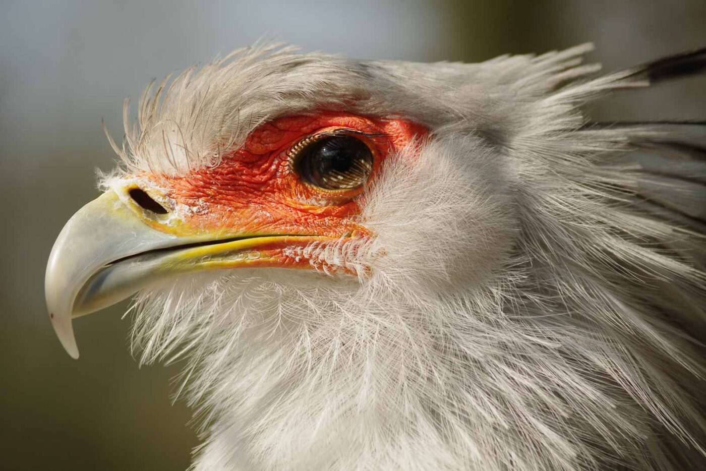 2016-03-10 - Allwetterzoo Münster