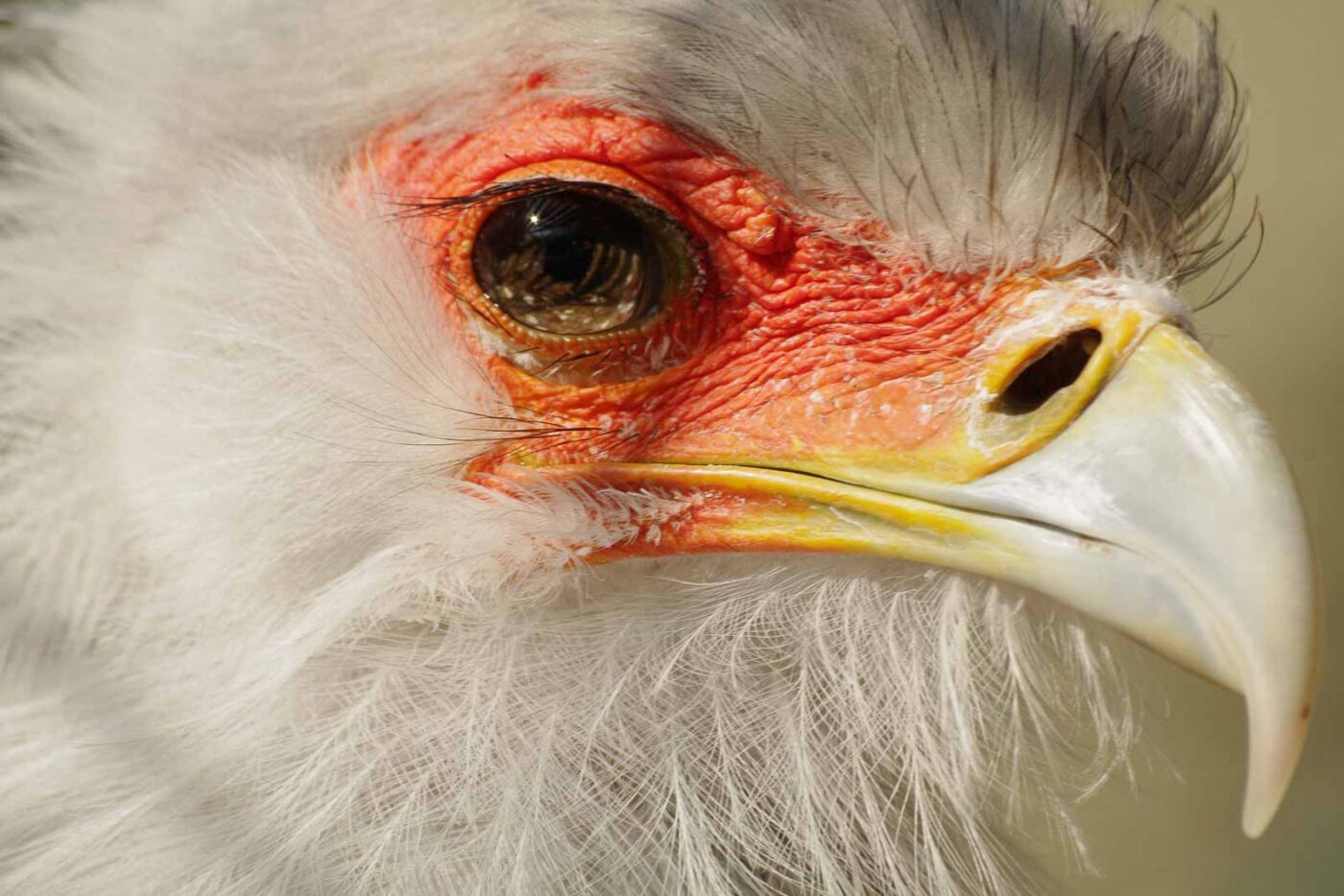 2016-03-10 - Allwetterzoo Münster