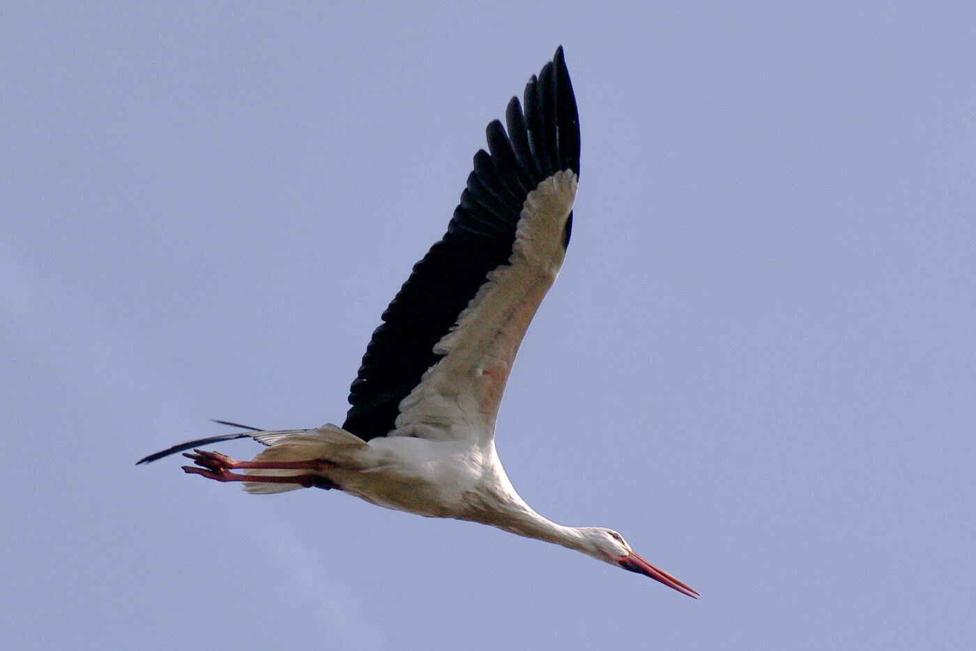 2016-03-10 - Allwetterzoo Münster