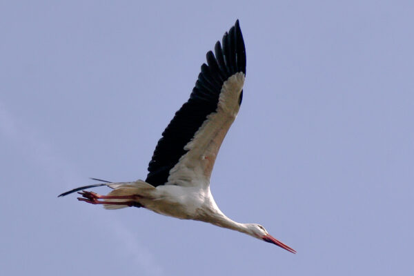 2016-03-10 - Allwetterzoo Münster