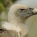 2016-03-10 - Allwetterzoo Münster