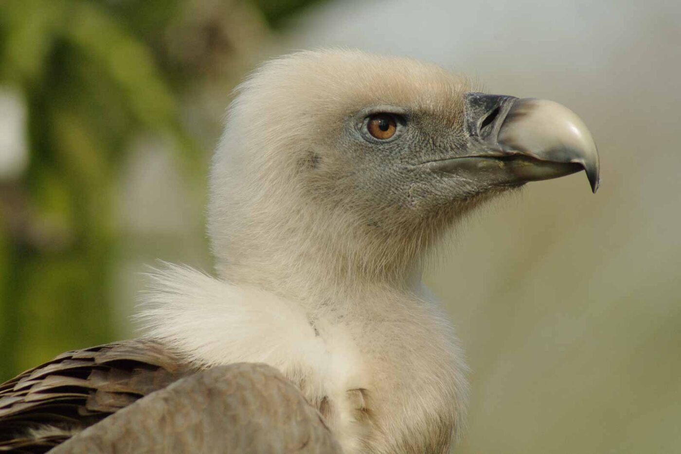 2016-03-10 - Allwetterzoo Münster