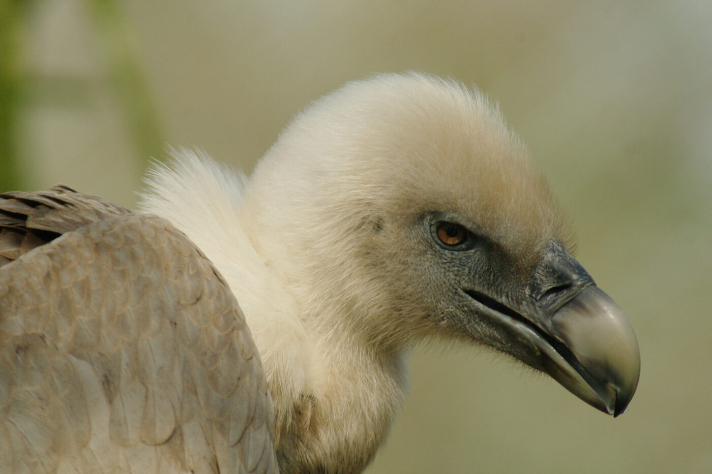 2016-03-10 - Allwetterzoo Münster