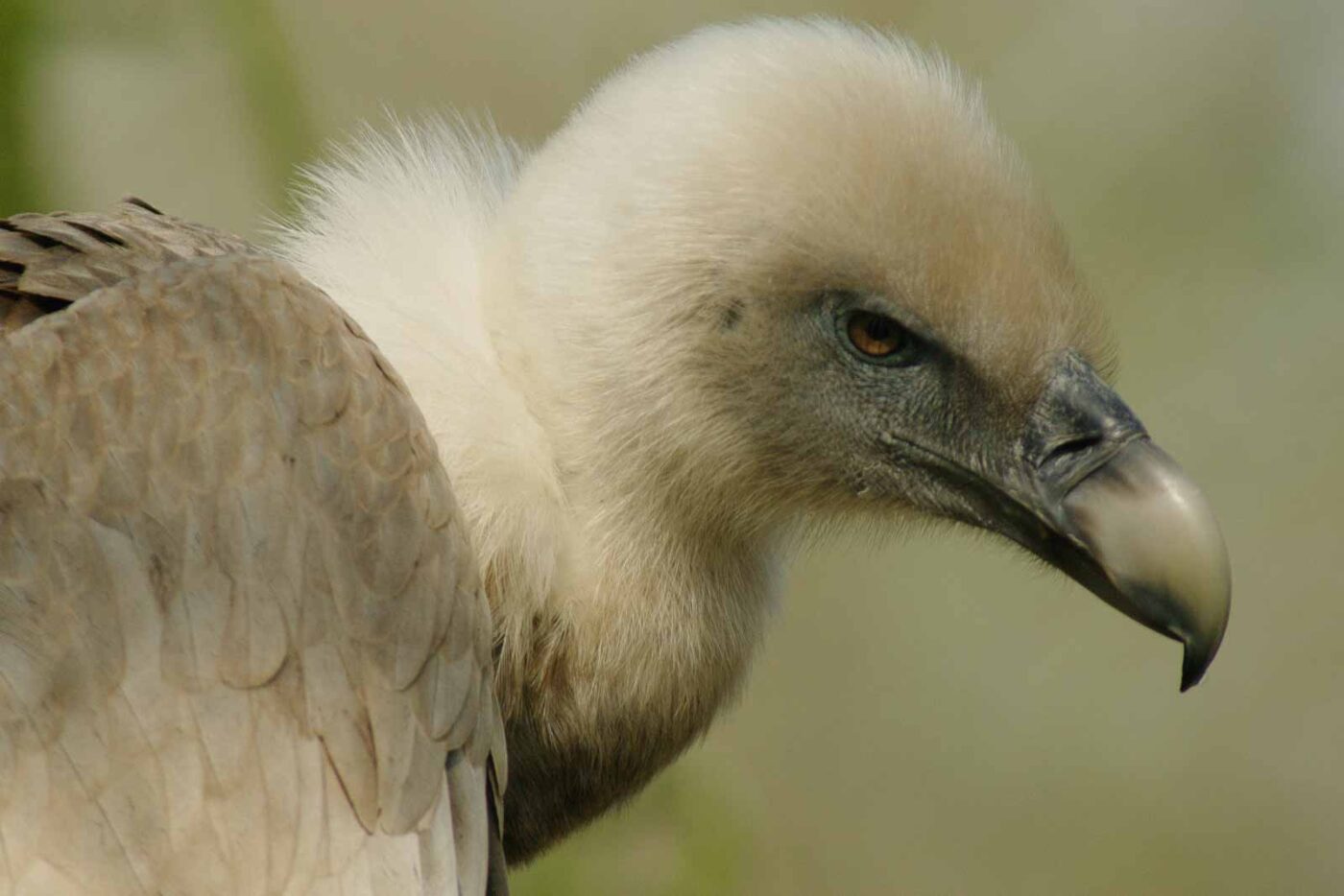 2016-03-10 - Allwetterzoo Münster