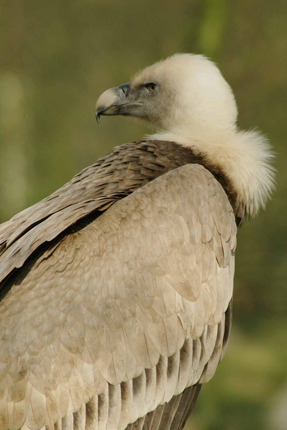 2016-03-10 - Allwetterzoo Münster
