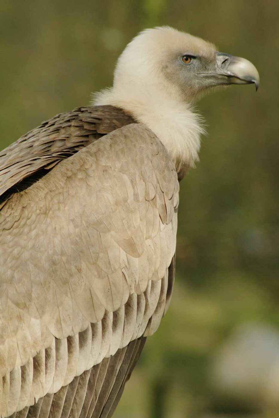 2016-03-10 - Allwetterzoo Münster