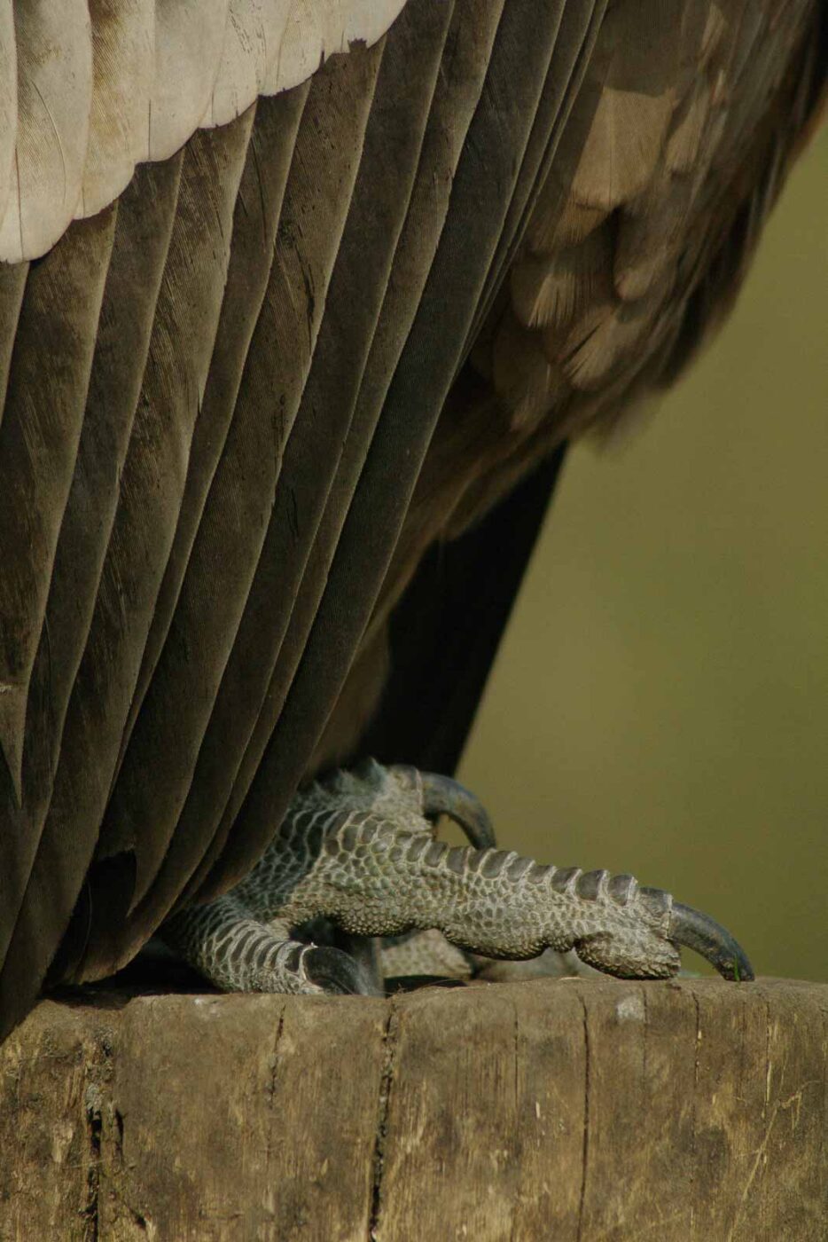 2016-03-10 - Allwetterzoo Münster