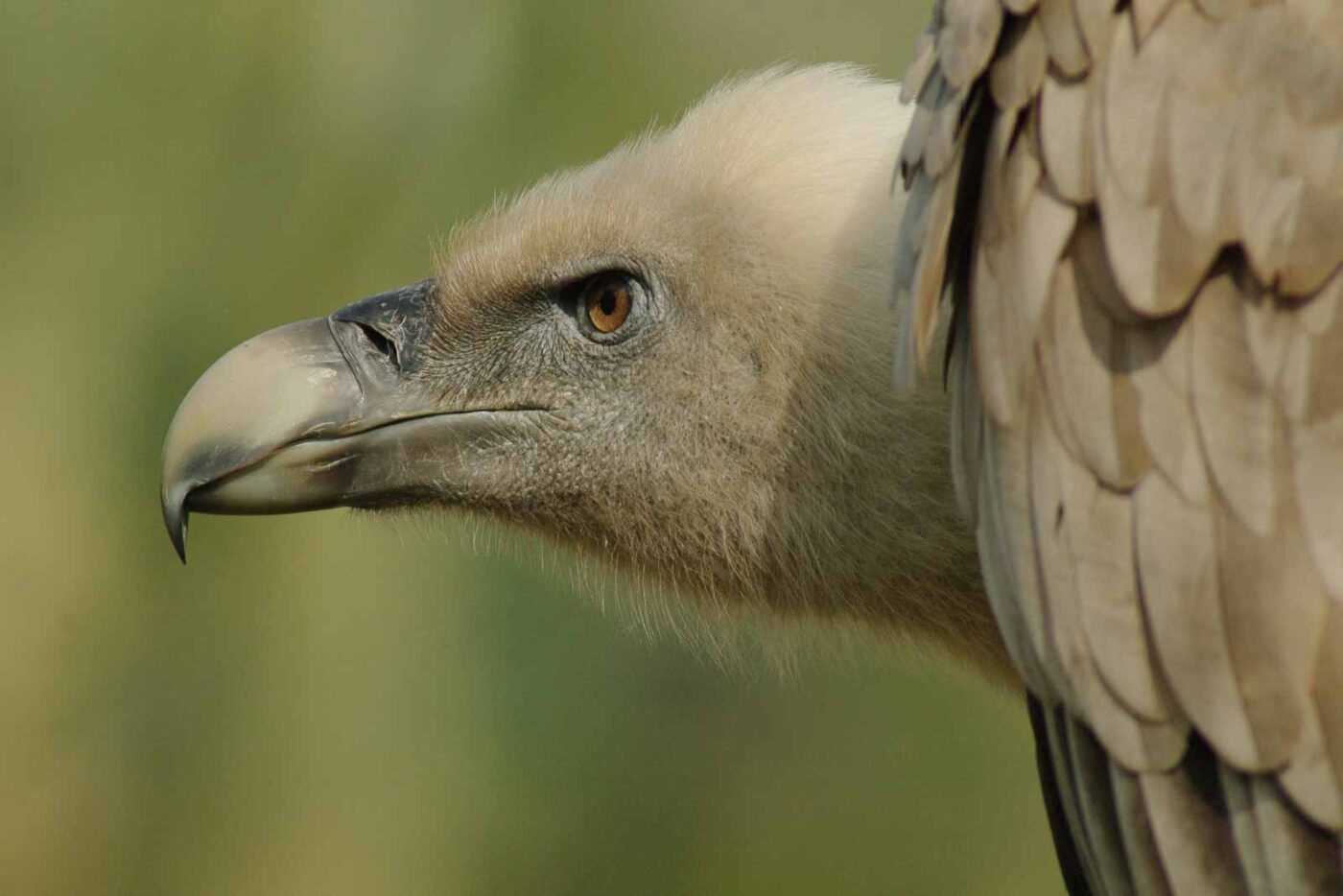 2016-03-10 - Allwetterzoo Münster