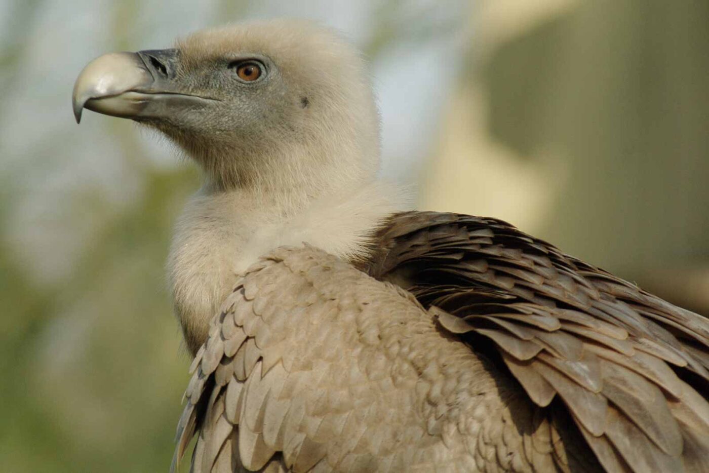 2016-03-10 - Allwetterzoo Münster