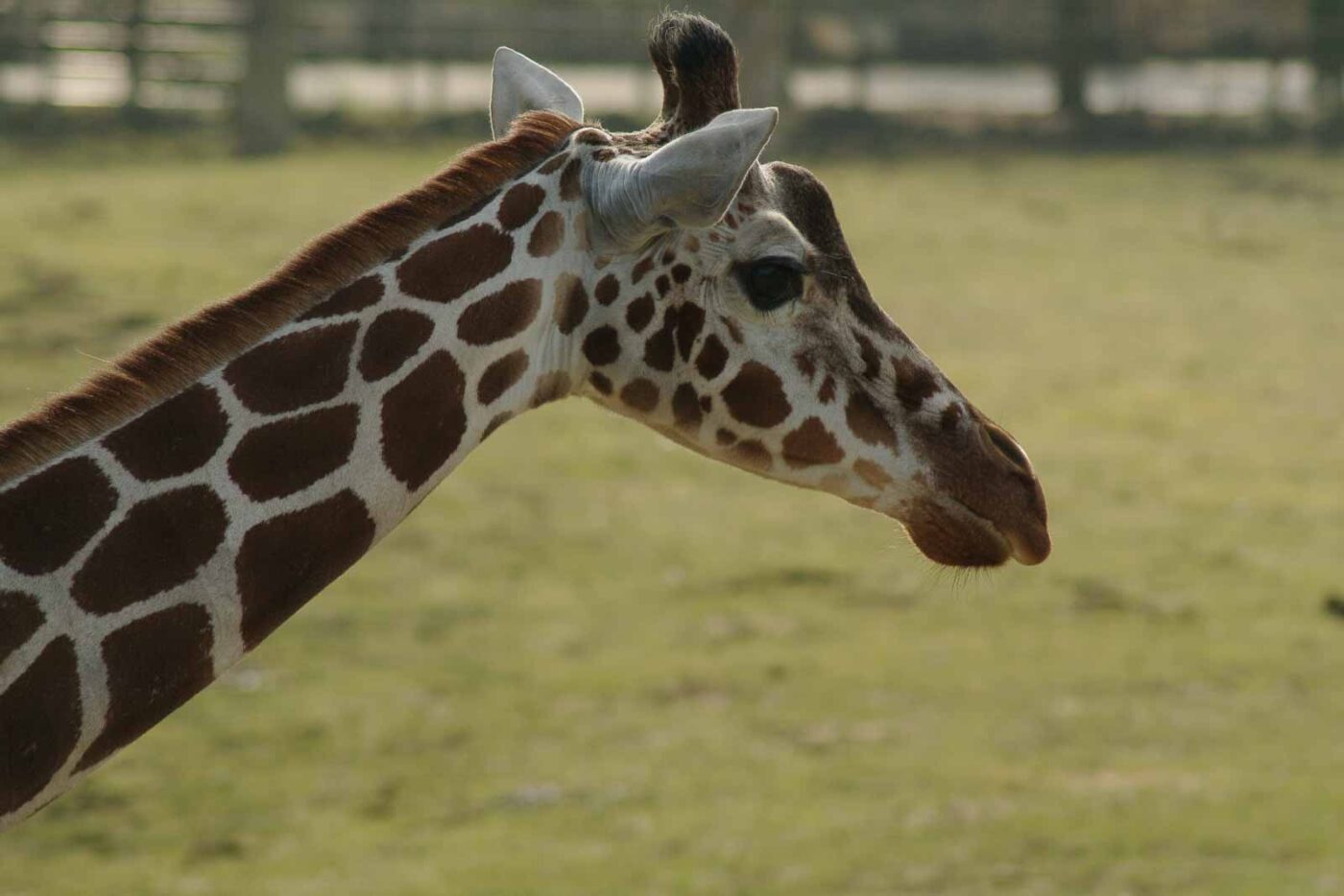 2016-03-10 - Allwetterzoo Münster