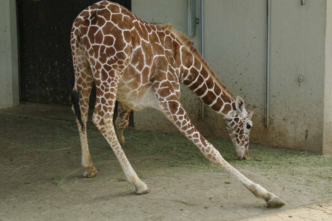 2016-03-10 - Allwetterzoo Münster