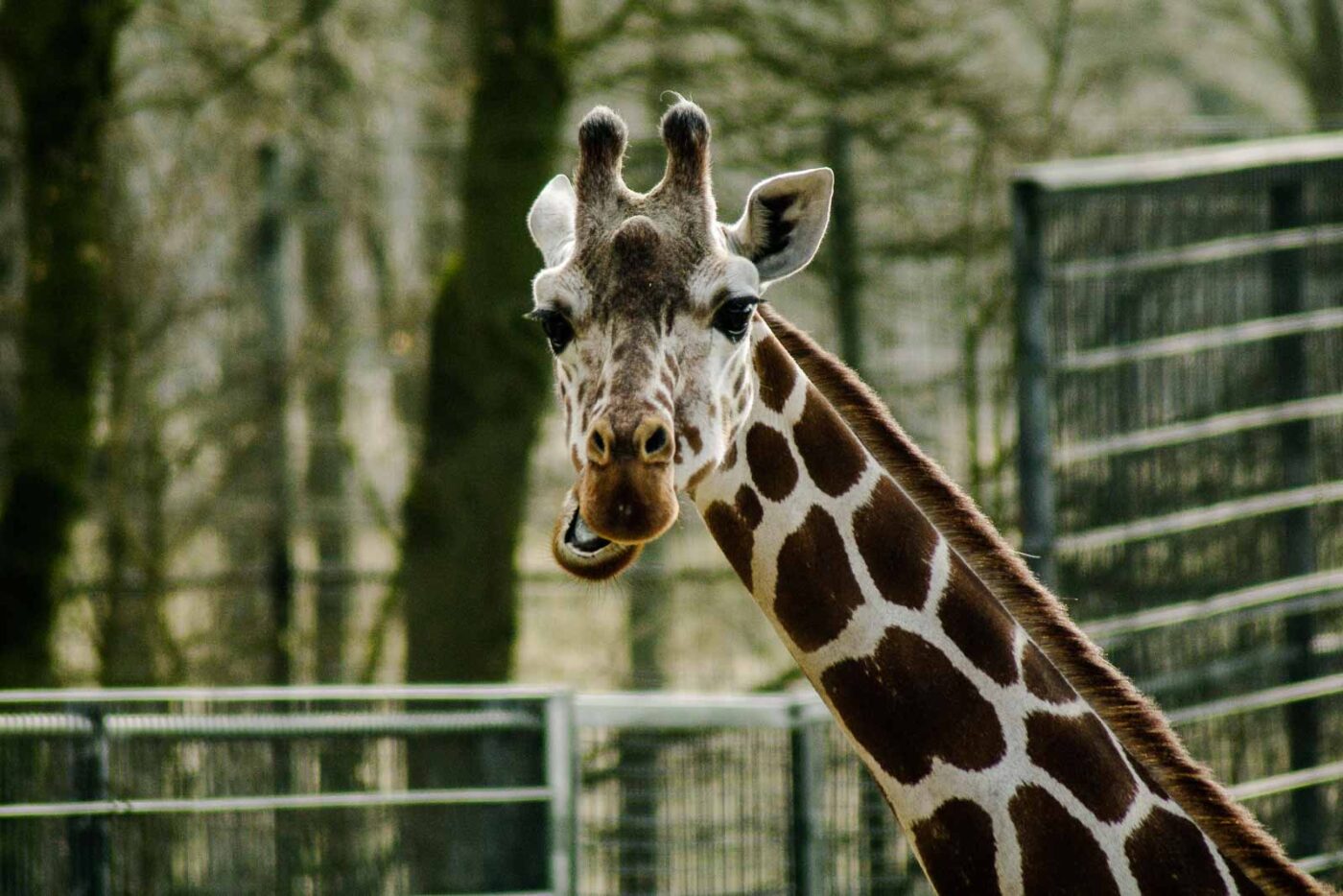 2016-03-10 - Allwetterzoo Münster