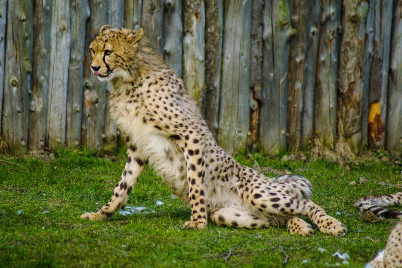 2016-03-10 - Allwetterzoo Münster