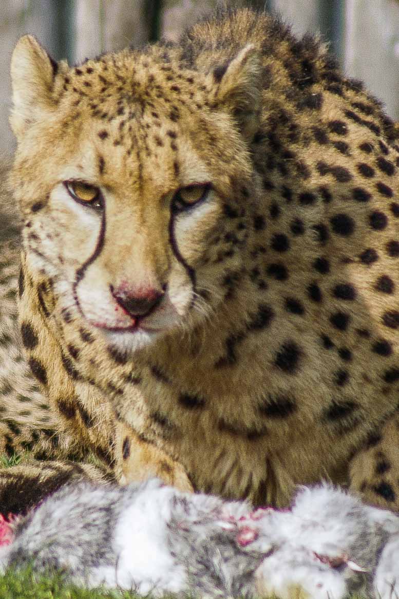 2016-03-10 - Allwetterzoo Münster