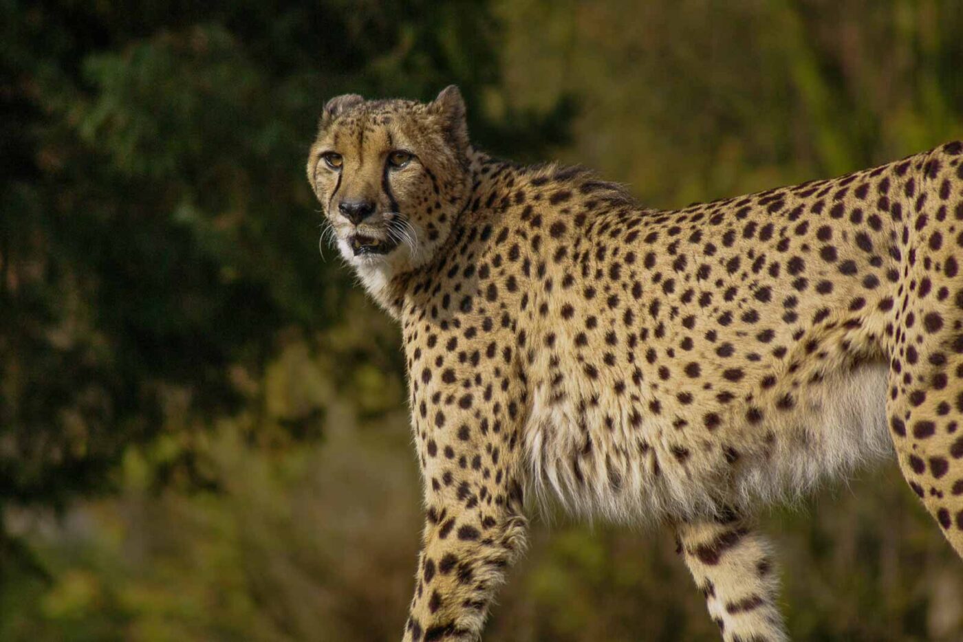 2016-03-10 - Allwetterzoo Münster