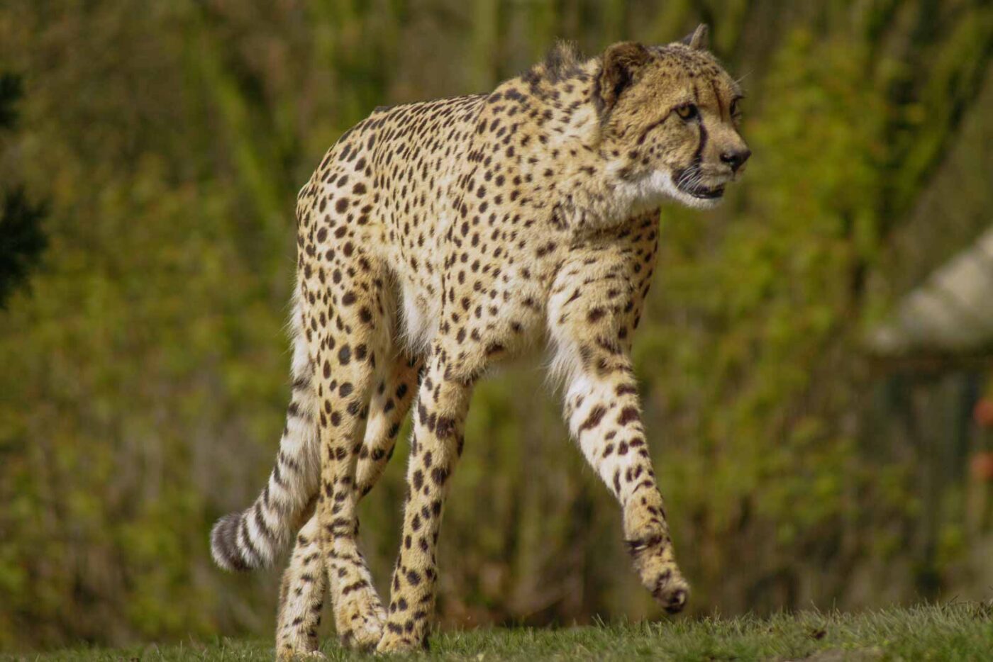 2016-03-10 - Allwetterzoo Münster