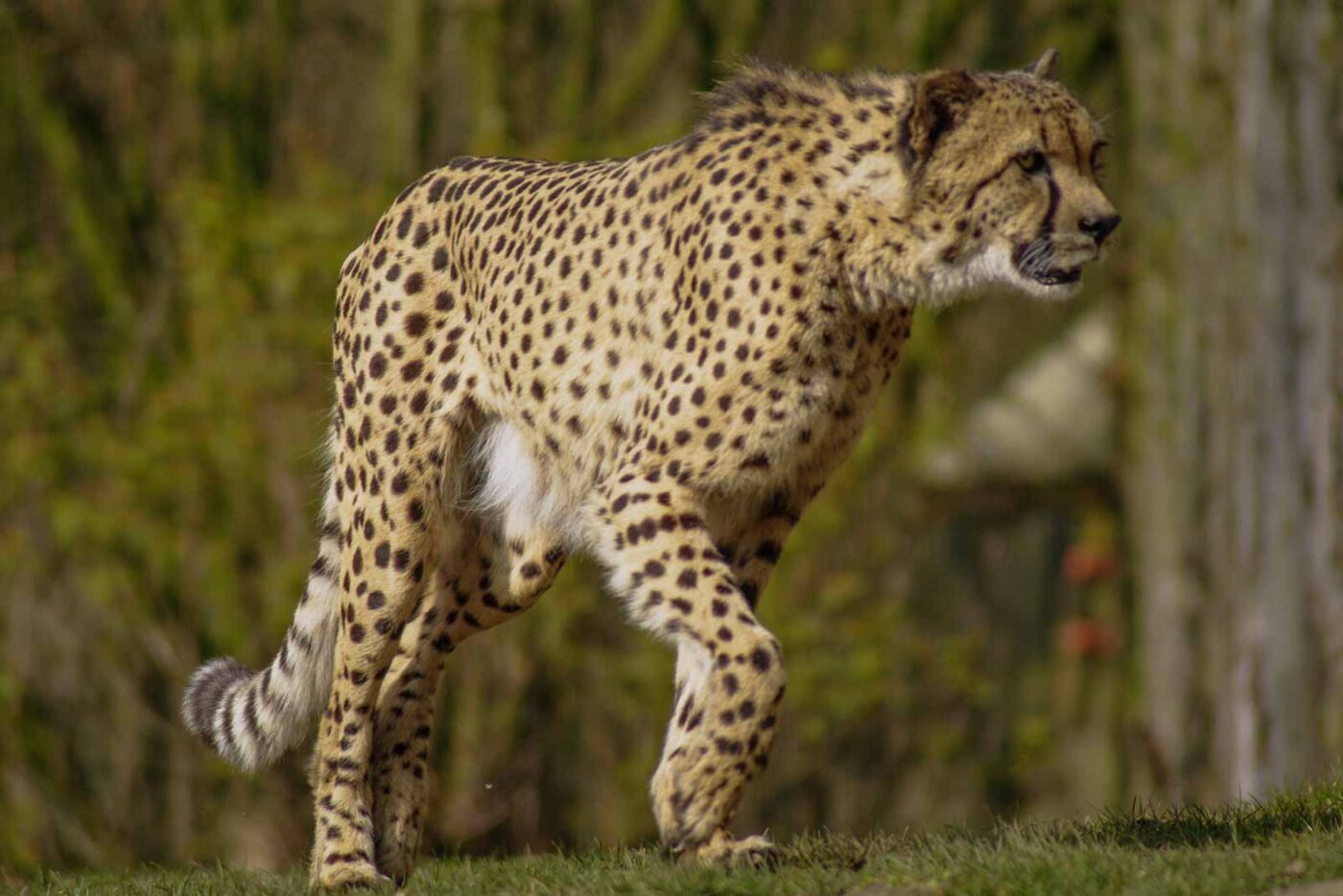 2016-03-10 - Allwetterzoo Münster