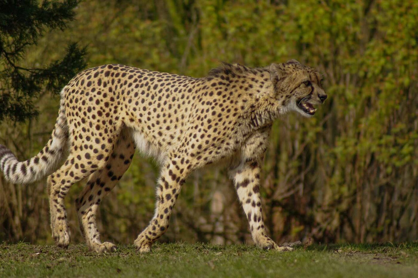 2016-03-10 - Allwetterzoo Münster
