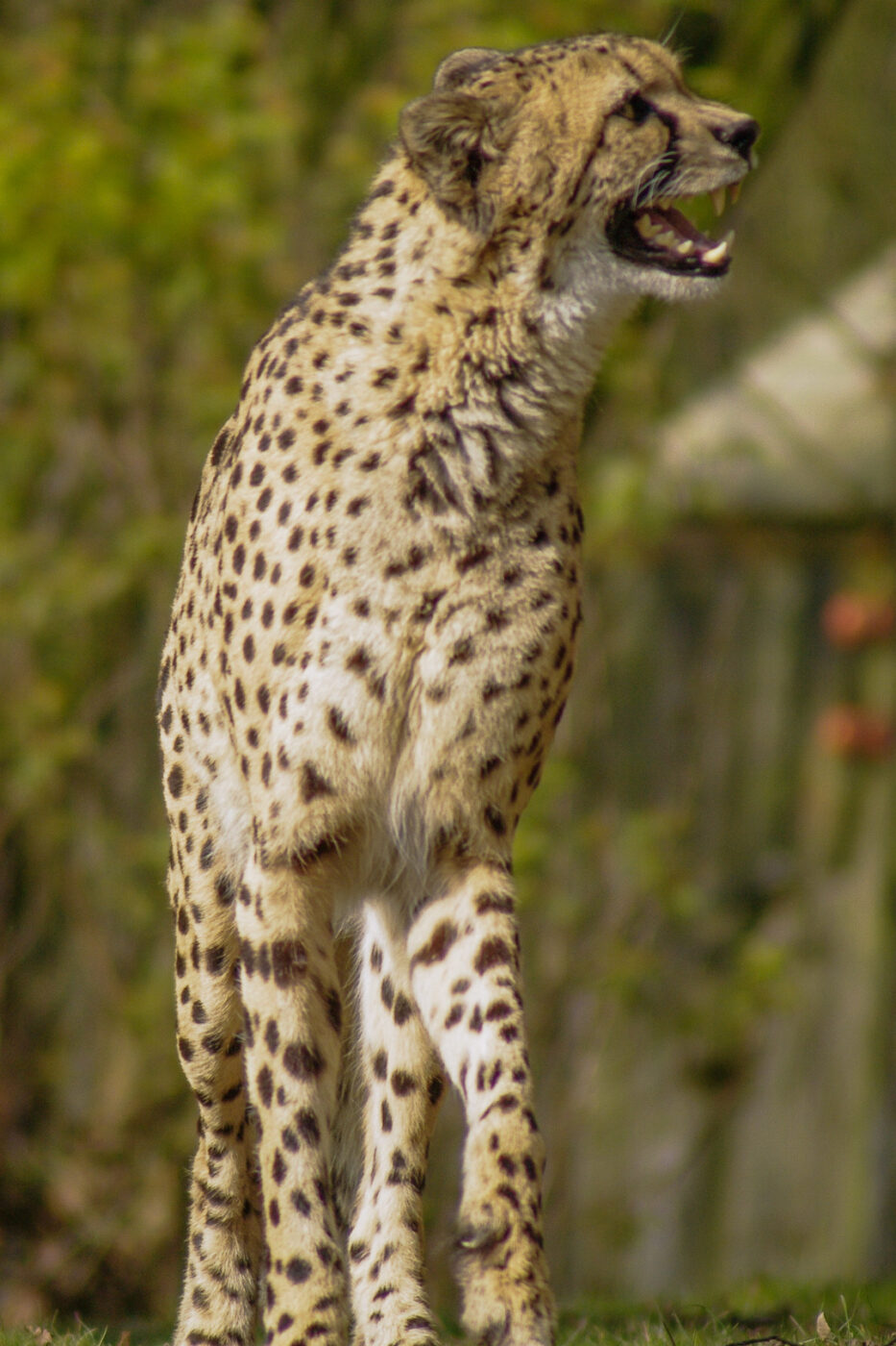 2016-03-10 - Allwetterzoo Münster