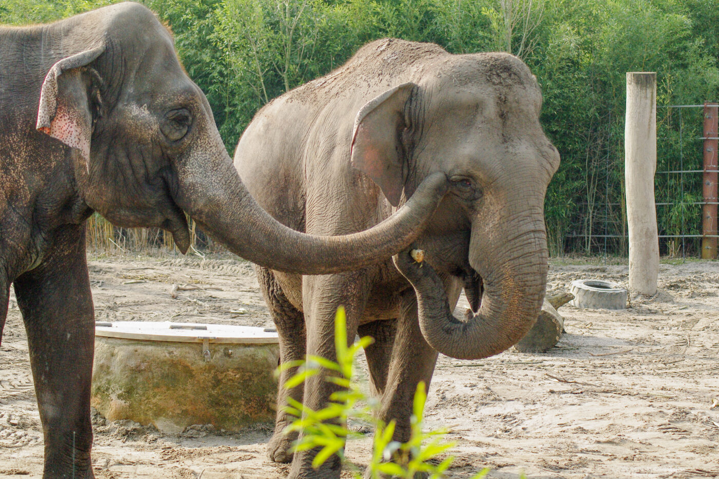 2016-03-10 - Allwetterzoo Münster