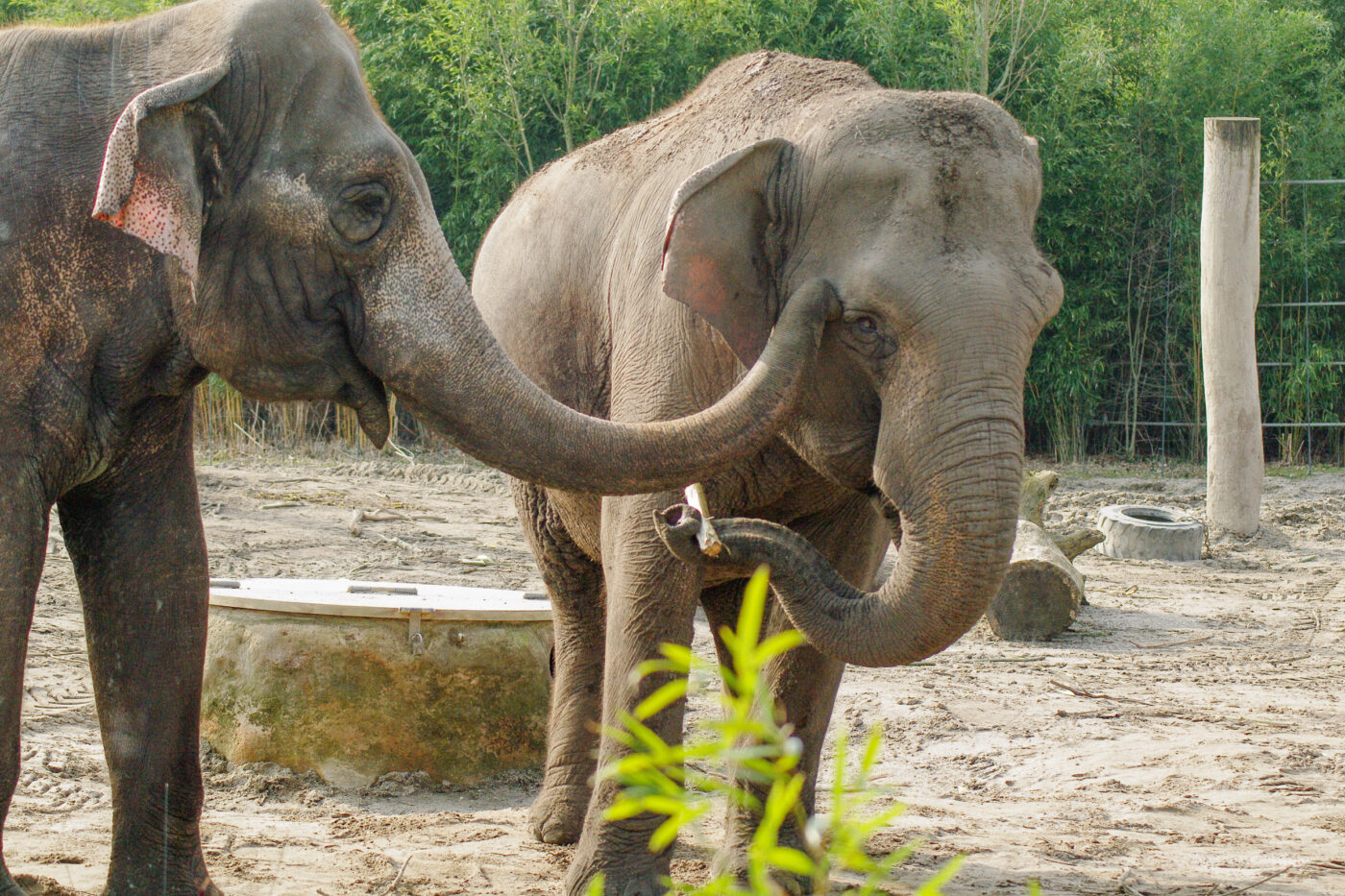 2016-03-10 - Allwetterzoo Münster