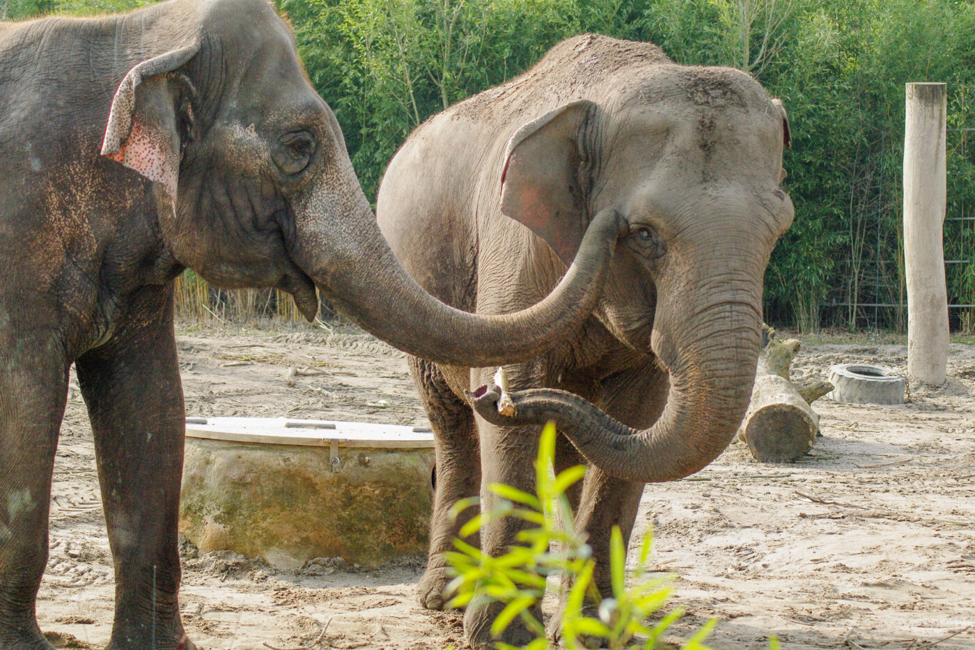 2016-03-10 - Allwetterzoo Münster
