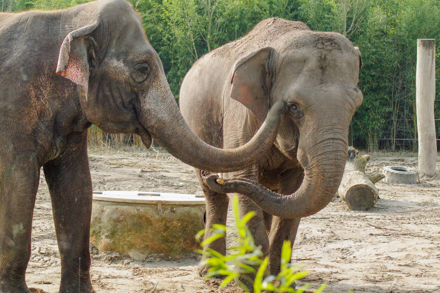 2016-03-10 - Allwetterzoo Münster