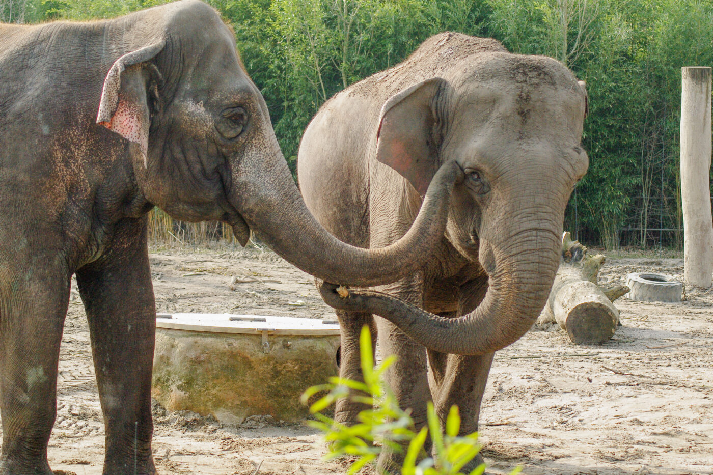 2016-03-10 - Allwetterzoo Münster