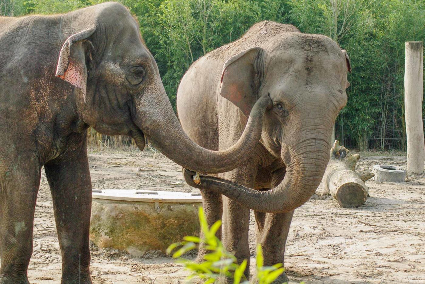 2016-03-10 - Allwetterzoo Münster