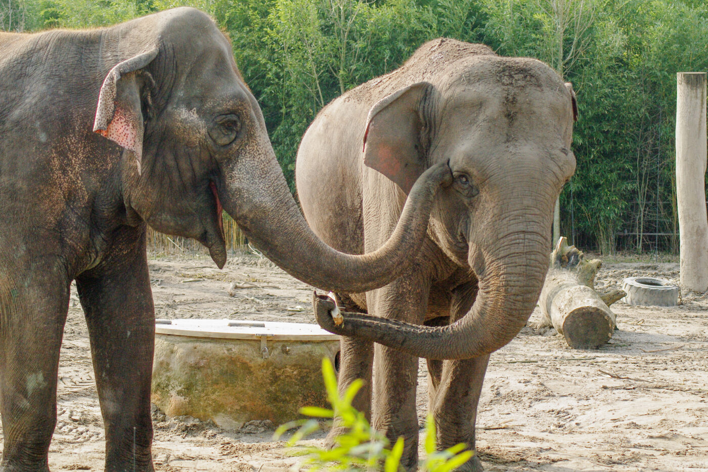 2016-03-10 - Allwetterzoo Münster