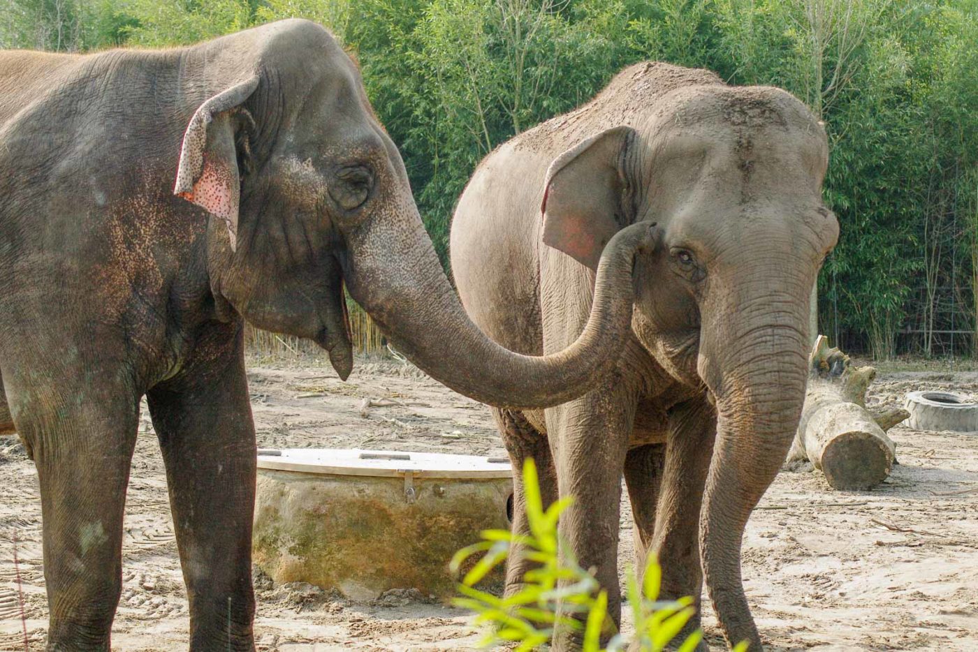 2016-03-10 - Allwetterzoo Münster