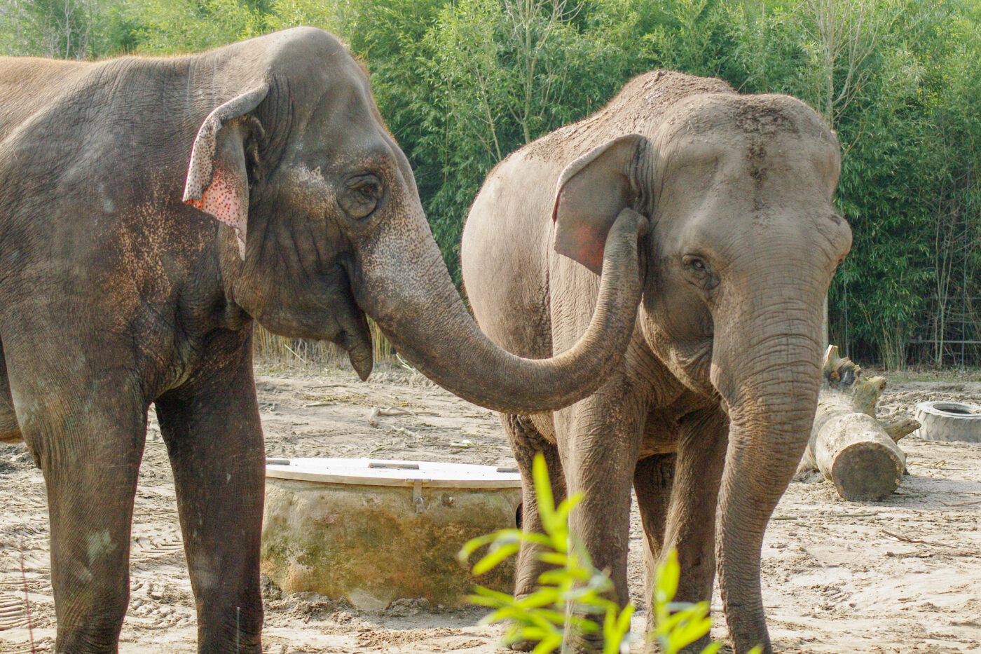 2016-03-10 - Allwetterzoo Münster