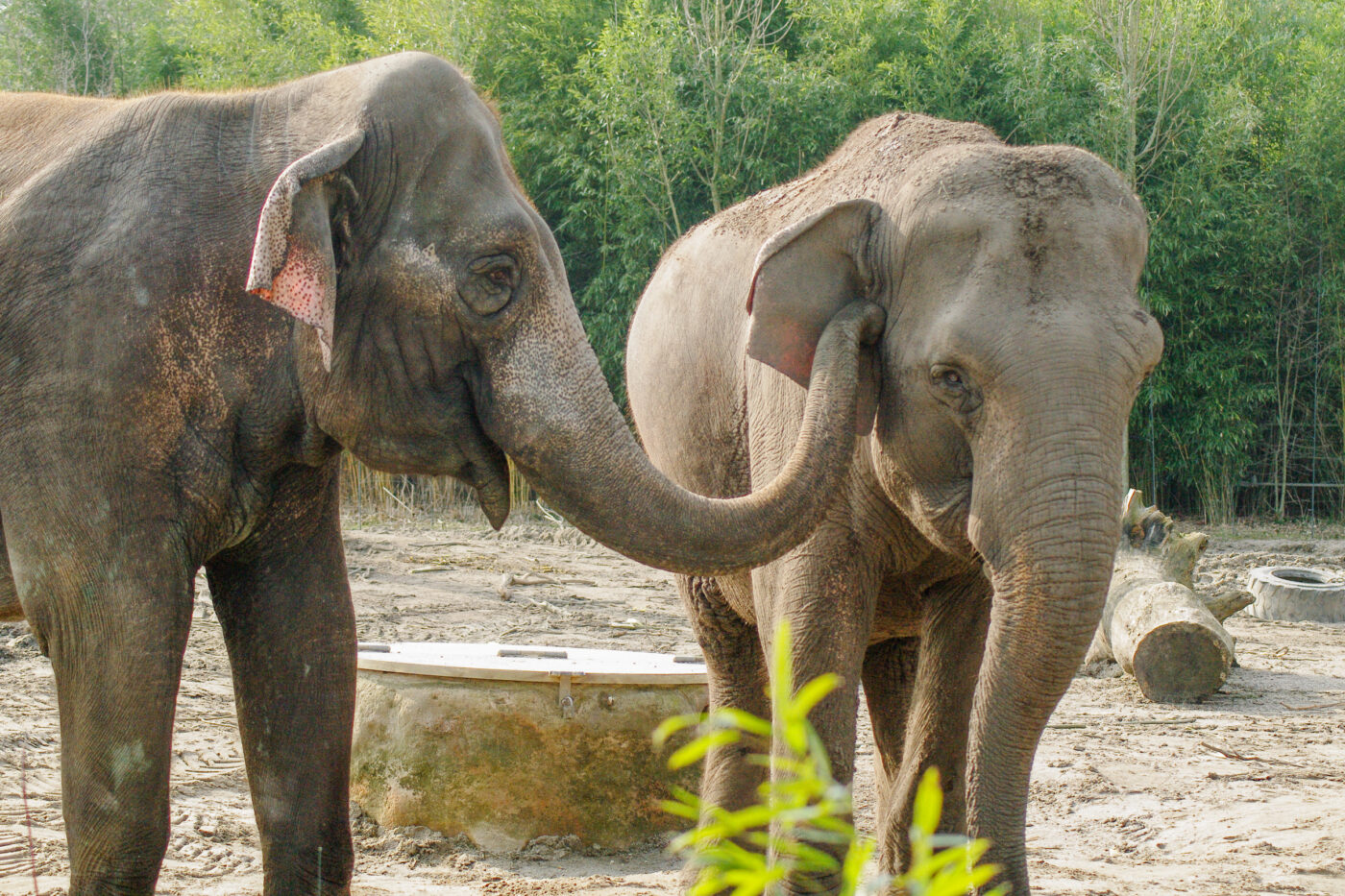 2016-03-10 - Allwetterzoo Münster
