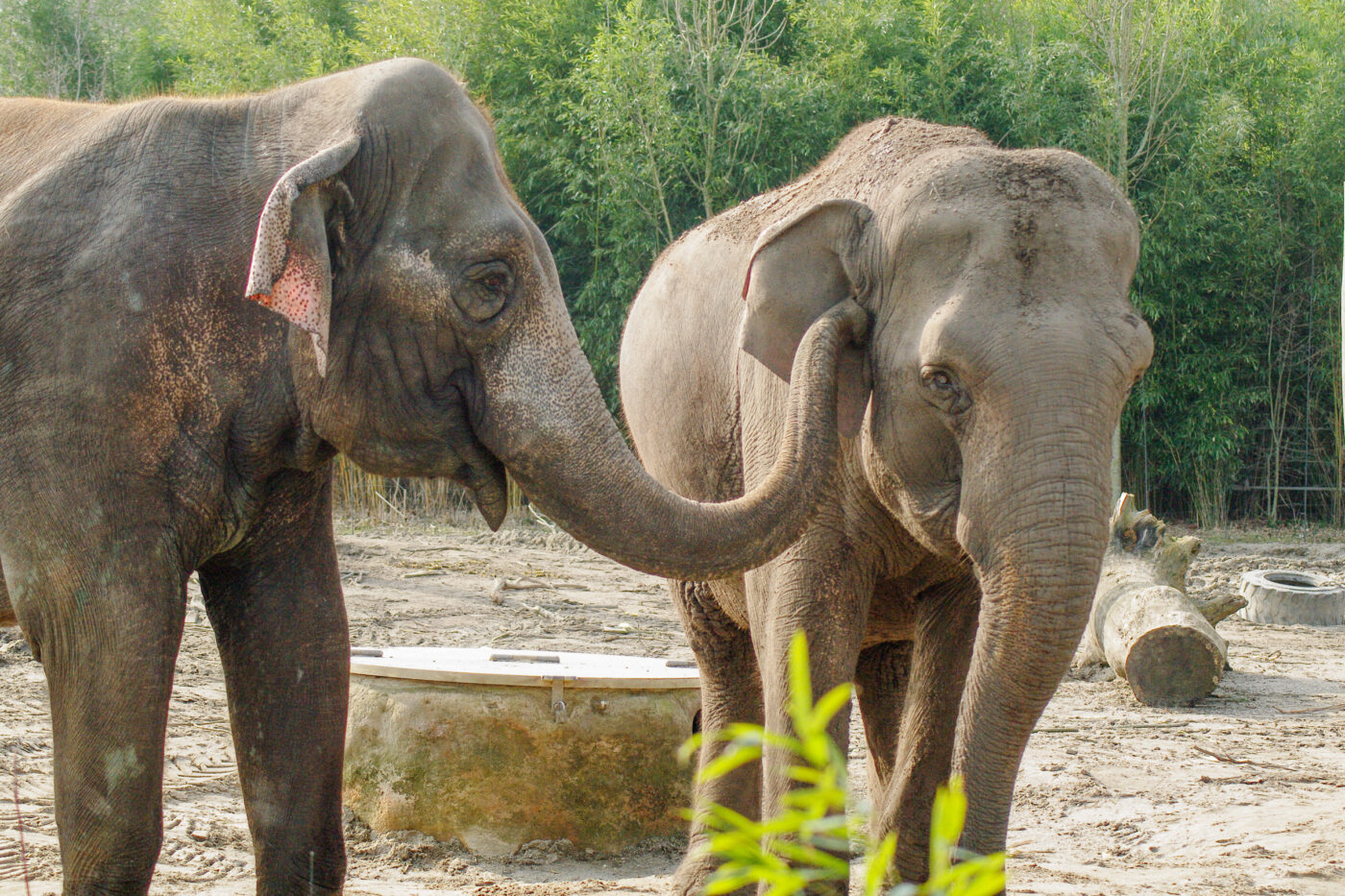 2016-03-10 - Allwetterzoo Münster
