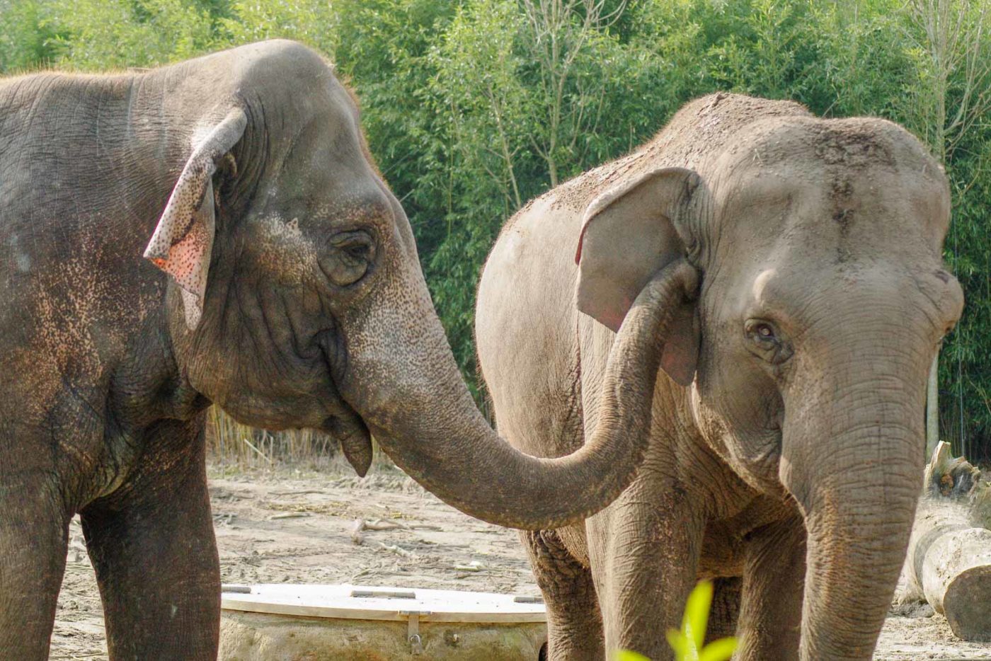 2016-03-10 - Allwetterzoo Münster