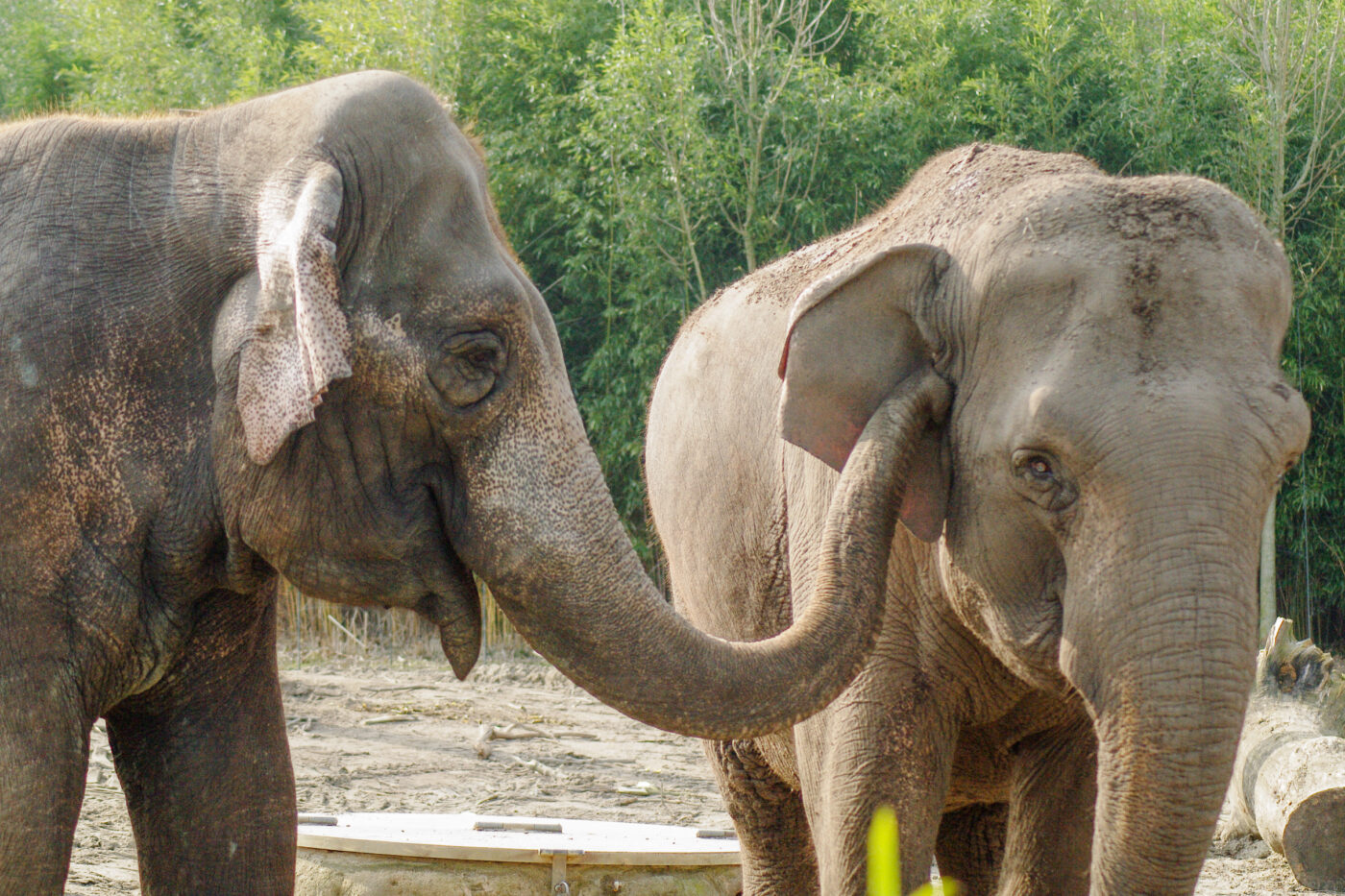 2016-03-10 - Allwetterzoo Münster