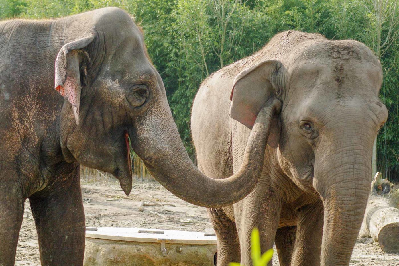 2016-03-10 - Allwetterzoo Münster