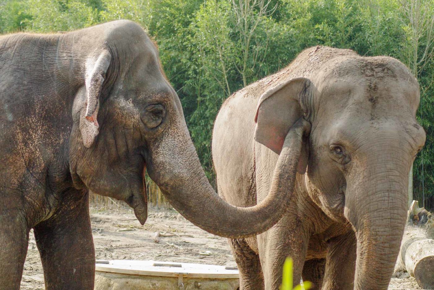 2016-03-10 - Allwetterzoo Münster