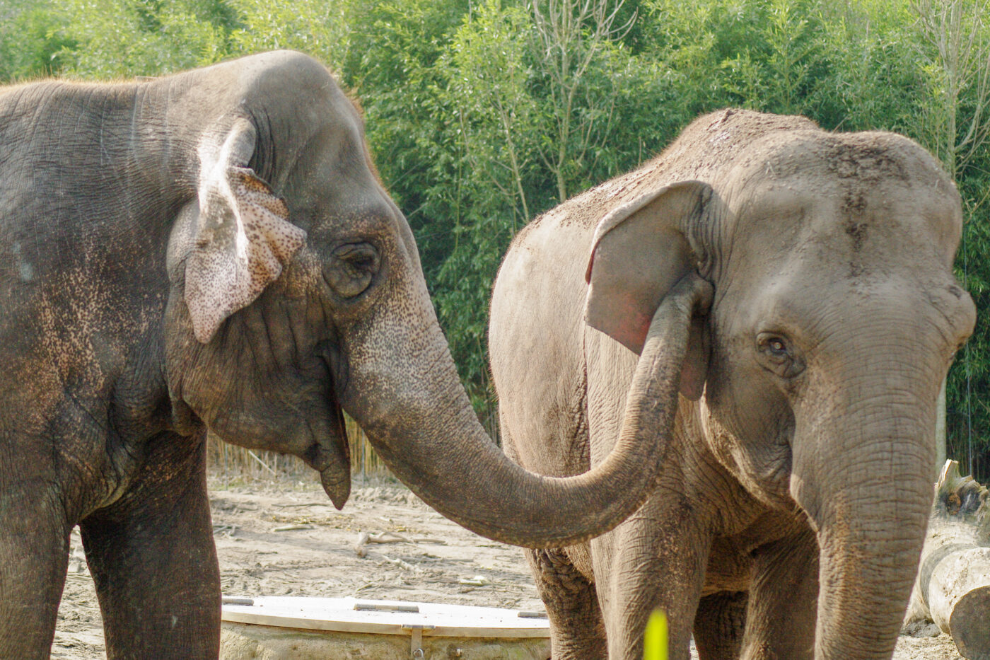 2016-03-10 - Allwetterzoo Münster