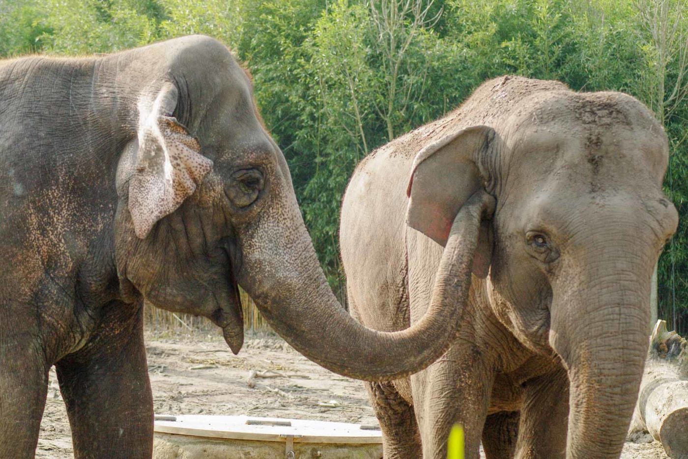 2016-03-10 - Allwetterzoo Münster